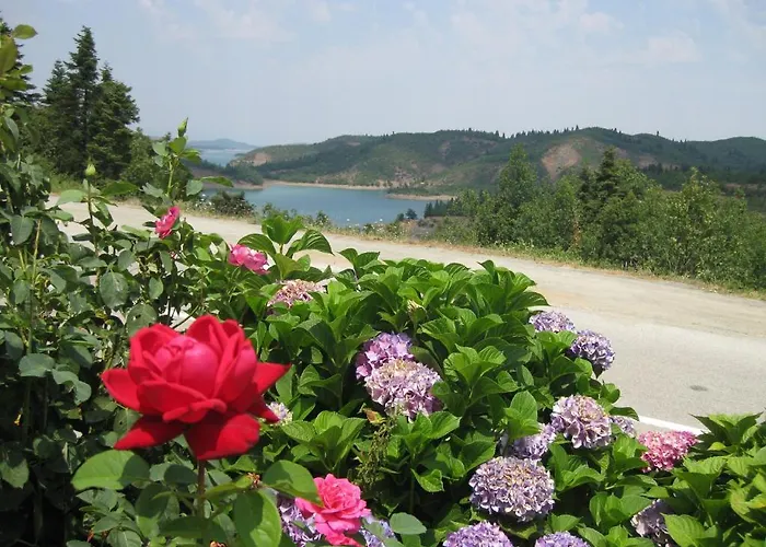 Guesthouse Moucha 3*